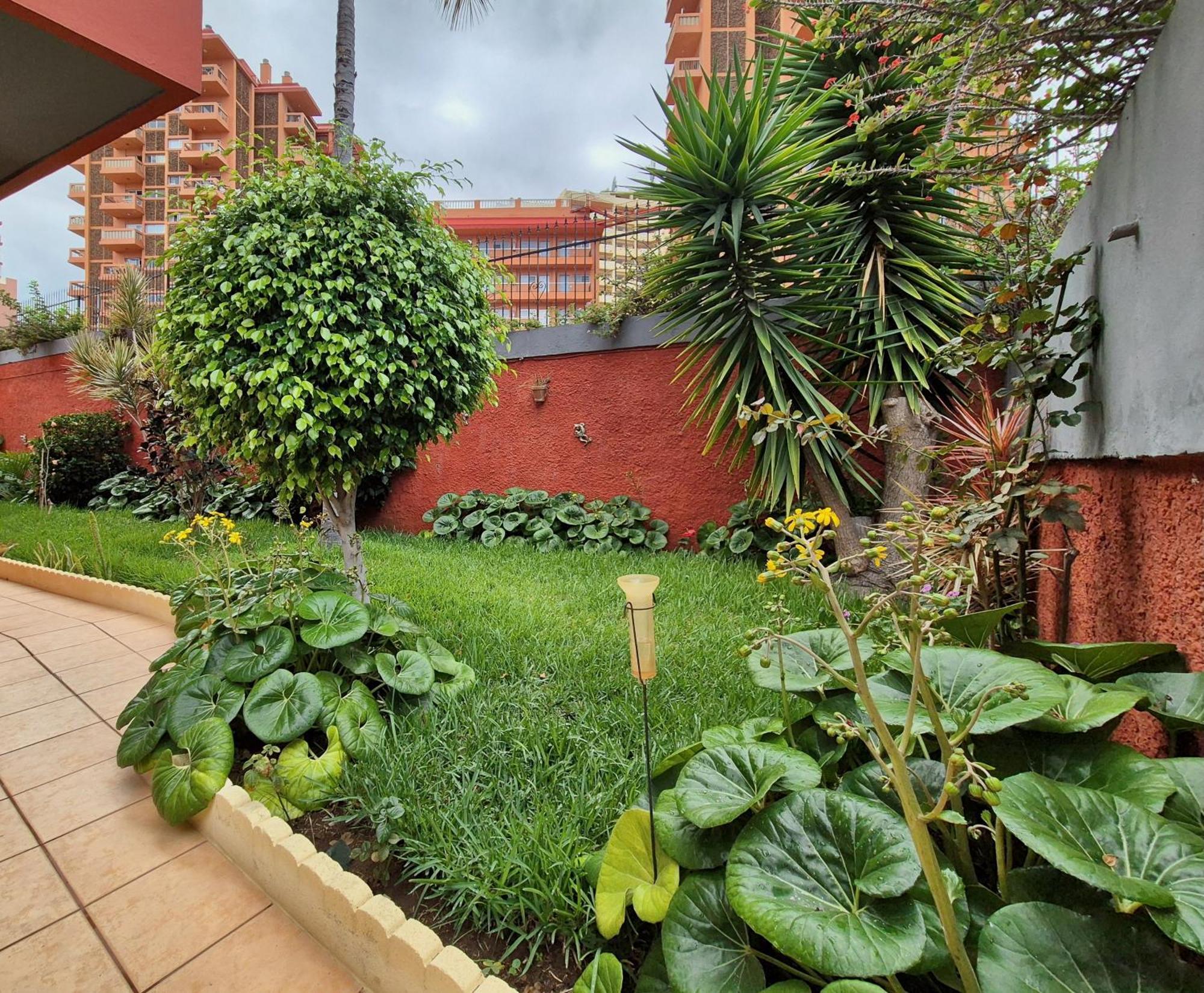 Canaima Apartments Puerto de la Cruz  Exterior foto